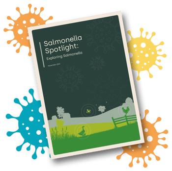 Salmonella spotlight: Exploring salmonella
