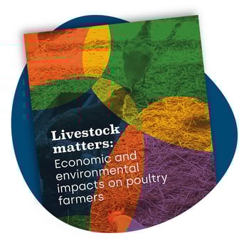 Economic and environmental impacts on poultry farmers