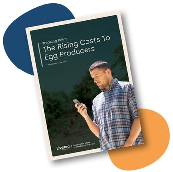 Breaking Point: The Rising Costs To Egg Producers