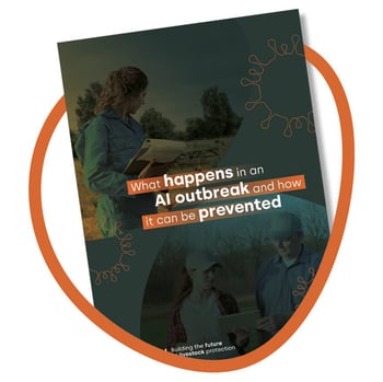 What happens in an AI outbreak and how one can be prevented