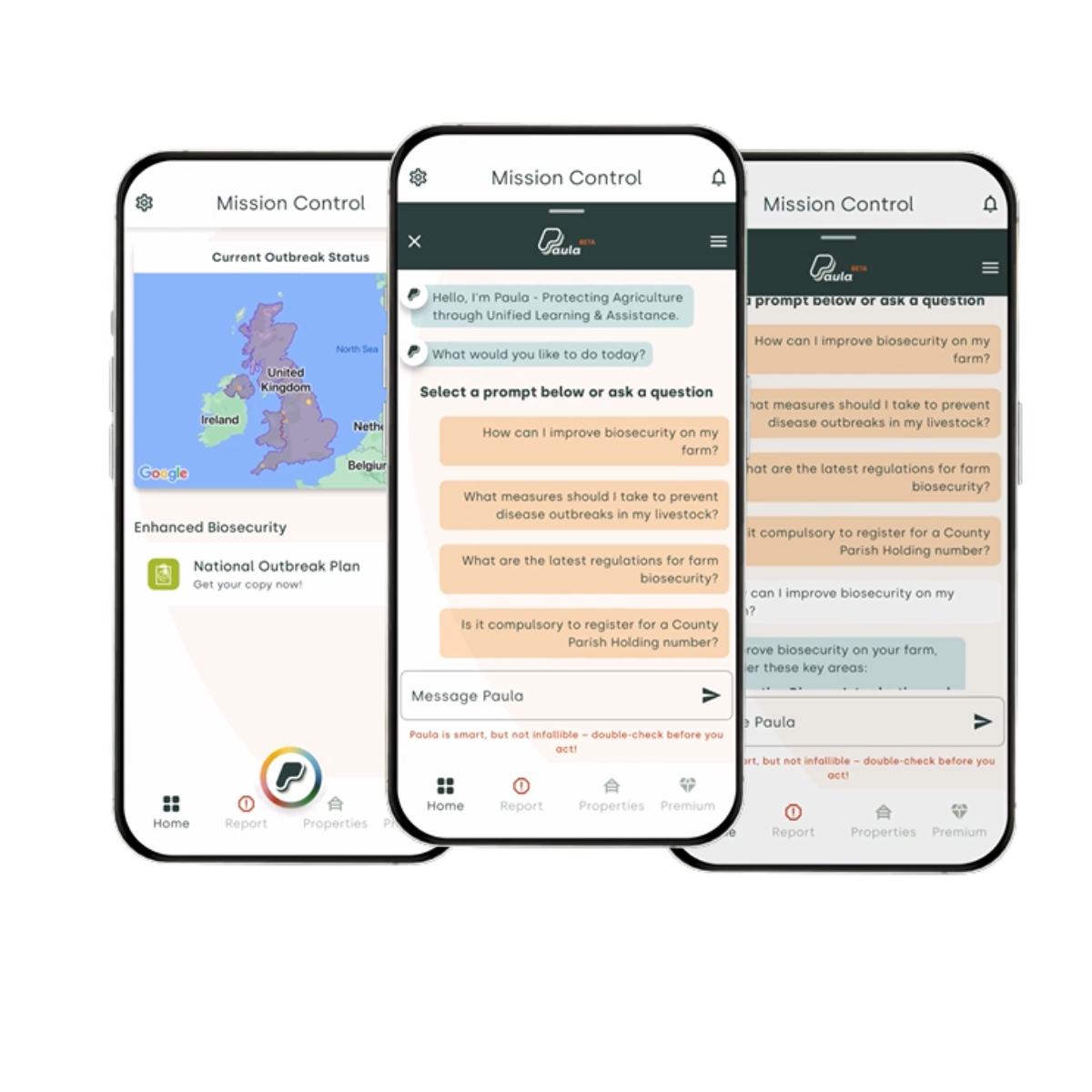 paula_briosecurity_advisor