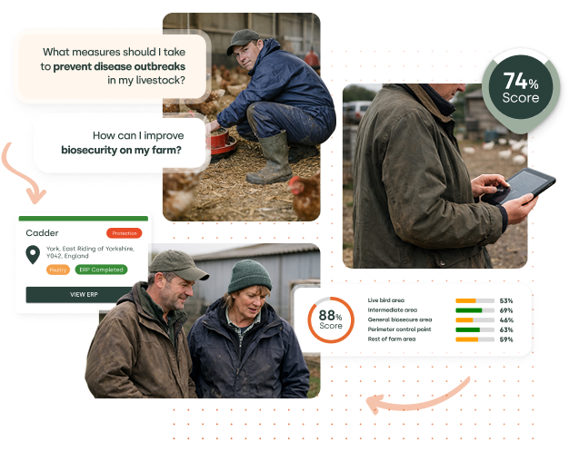 hero_livestock_solutions